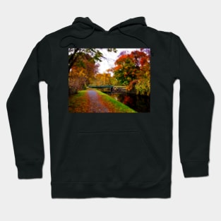 Canal Dream Hoodie